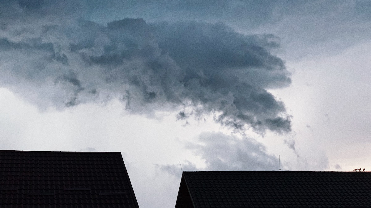 A chuva leva a dedetização