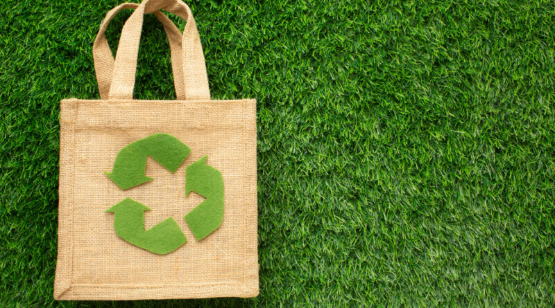 sacolas sustentável